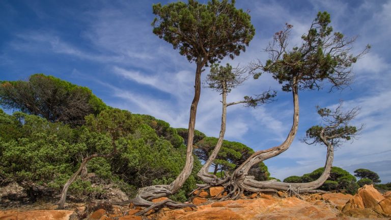 Pierre et vacances corse