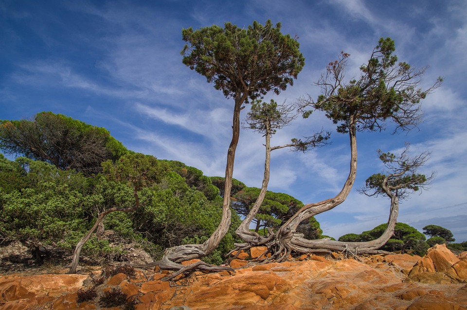 Pierre et vacances corse